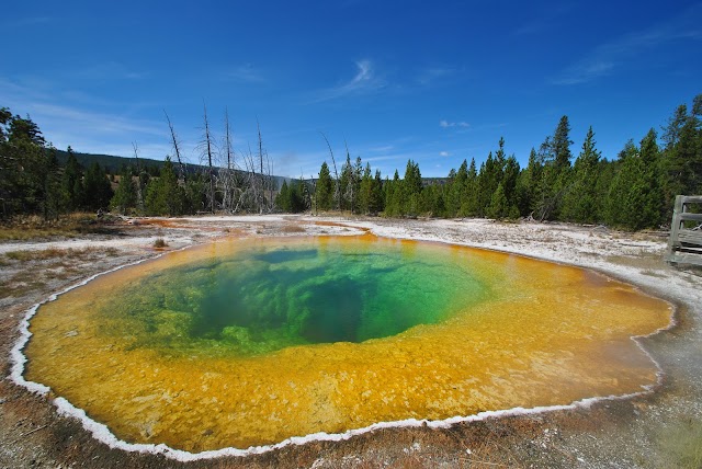 Morning Glory Pool