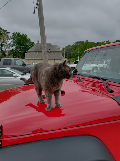 MTC Auto Sales Inc - Thumbnail