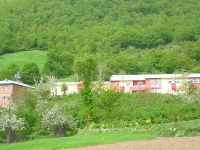 school