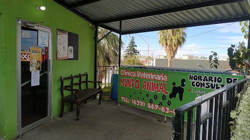 Clínica veterinaria Mundo Animal en Delicias