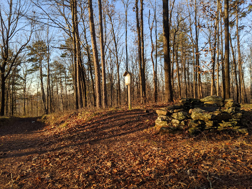 David Stone Grave - Thumbnail