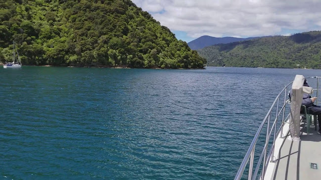 Seafood Odyssea Cruise Open Times