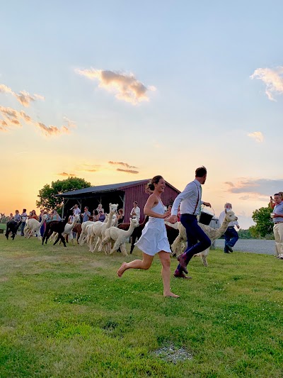 The Vermont Wedding Barn