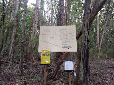 Molokaʻi Forest Reserve