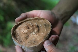 Photo n°16 de Maison de l'Eau et de la Rivière (M.E.R) à Hinsbourg (Parc écologique)