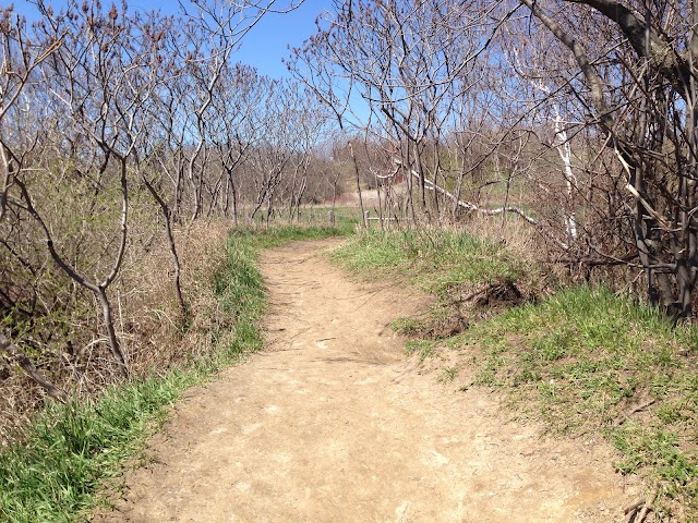 Scarborough Bluffs Park