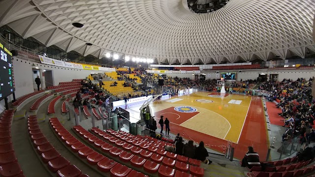Petit palais des sports
