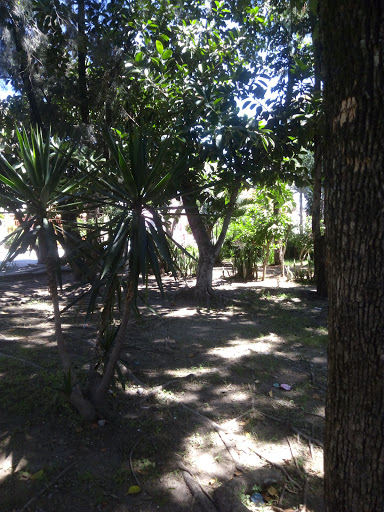 Tabachines Garden - Thumbnail
