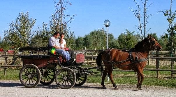 Agriturismo La Casina