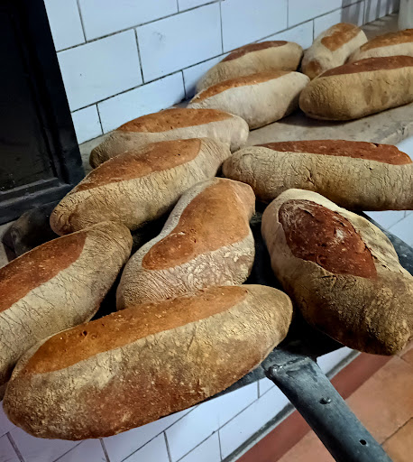 Bakery Small s.r.l.s. - Visual