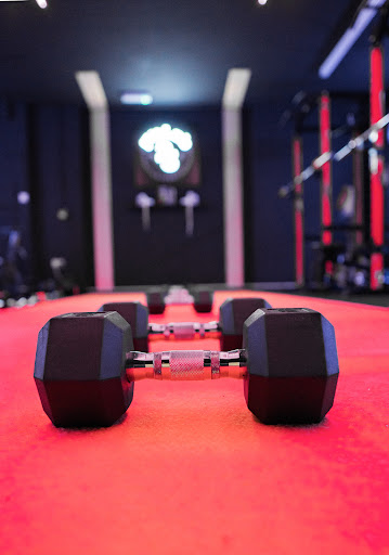 FitLab23 - Visual