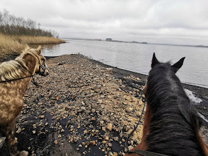 Photo n°32 de Domaine de Shiva à Brasparts (Ferme d'élevage)