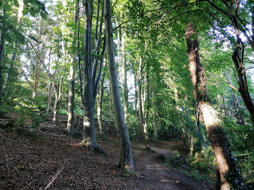 Cornist Park - Visual