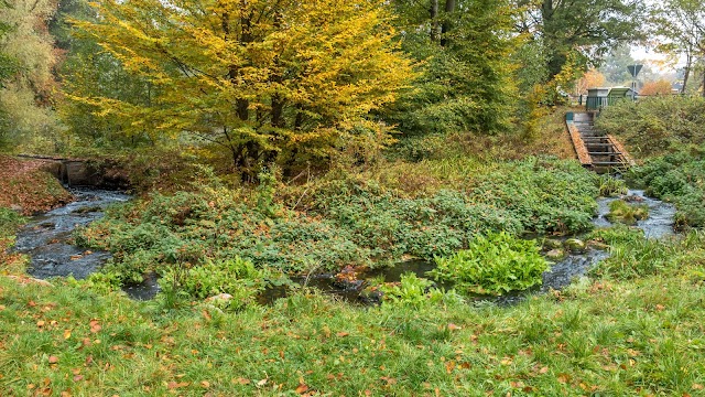 Duvenstedter Brook