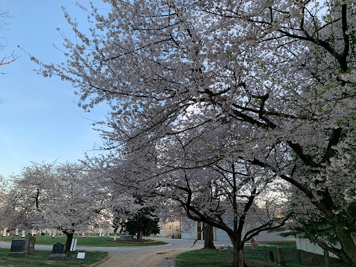 The Glenwood Cemetery - Thumbnail