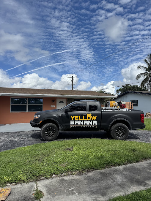 AF1QipMCE8-O5Doz7pQ7STXPfO7yAOx0VzXO2Cat