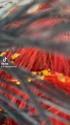 Photo n°4 de Edelweiss Hair à Sorgues (Salon de coiffure)