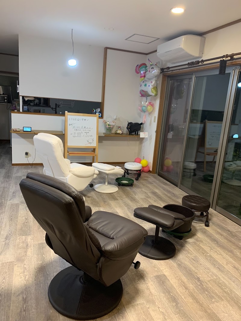 鍼灸サロン ねこのて