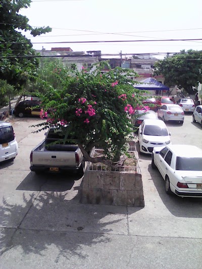 park