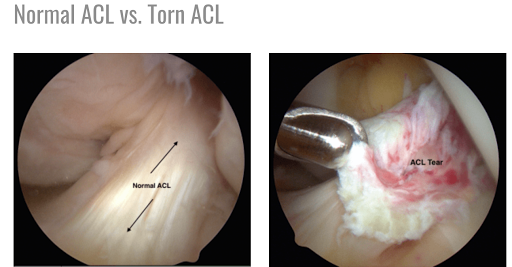 Specialty Orthopaedics - Thumbnail