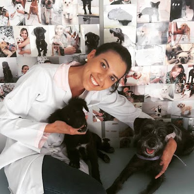 Photos of Veterin&aacute;ria Sa&uacute;de Pet Igua&ccedil;u