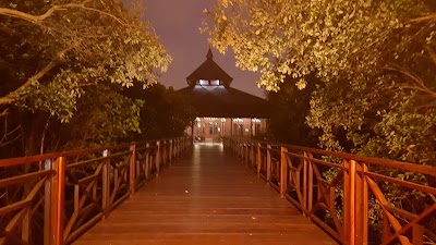 Photos of Taman Wisata Alam Mangrove, Angke Kapuk