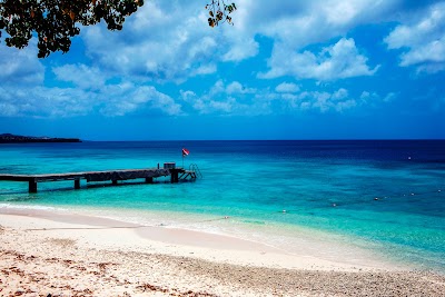 Photos of Epsilon Dive Center Curacao