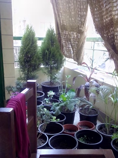 Photos of Tiab House Hotel