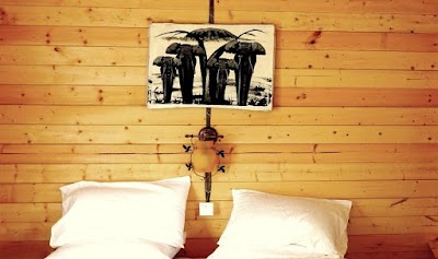 Photos of Jambo Mara Safari Lodge