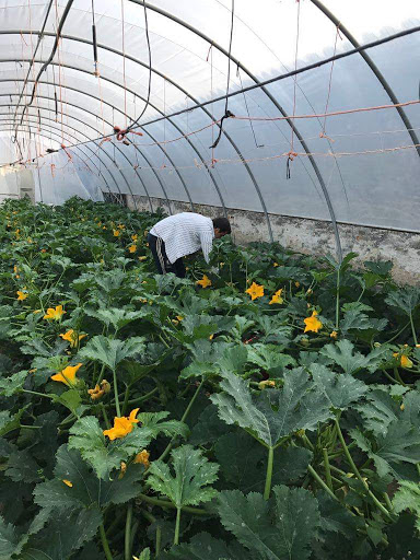 Azienda Agricola Stassi - Thumbnail