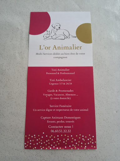 L'or Animalier - Thumbnail