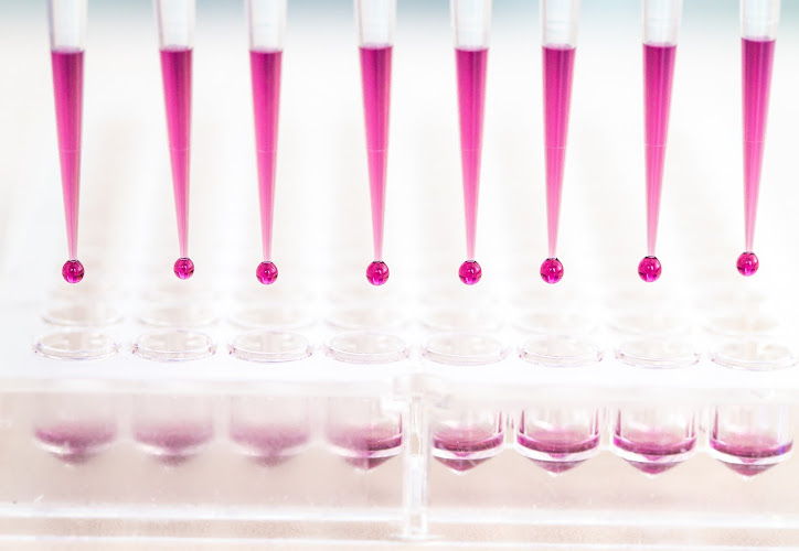 Laboratory MVZ Westmecklenburg