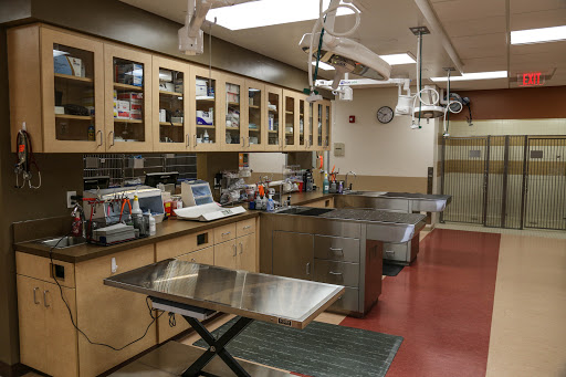 VCA Beech Grove Animal Hospital - Thumbnail