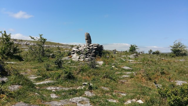 The Burren