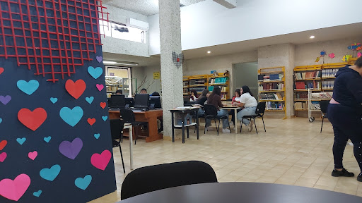 Biblioteca Pública Municipal Elías Cantú Garza - Thumbnail