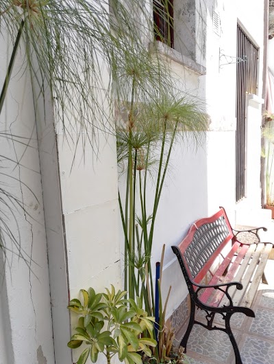 Photos of Traveller's Place Hostel