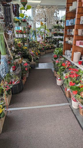 Ampleman Fleuriste - Visual