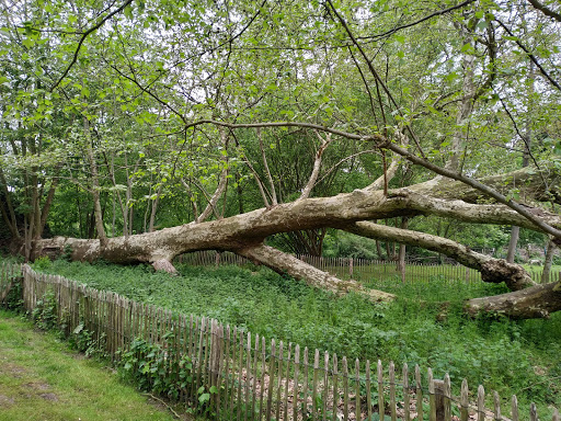 Frédéric Passy Environmental Park