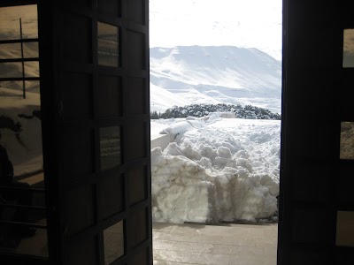 Photos of White Cedar Hotel & Resort