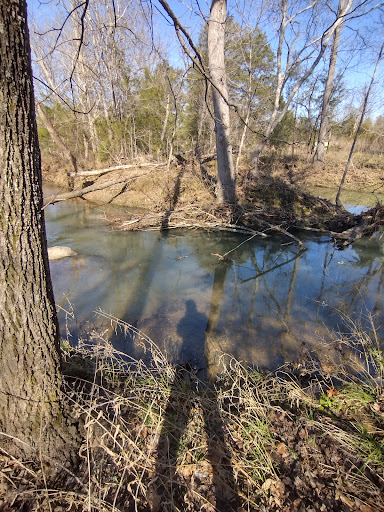 Shoal Creek Park - Thumbnail