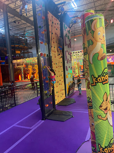 Kangaroo Fun Zone - Visual