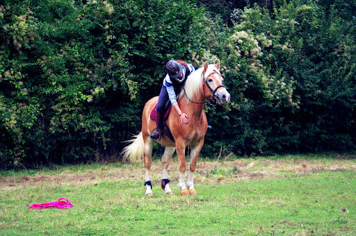 Ventu'Riding - Thumbnail