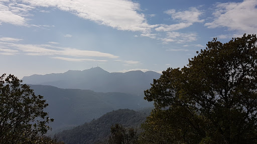 Puig de Sant Patllari - Thumbnail