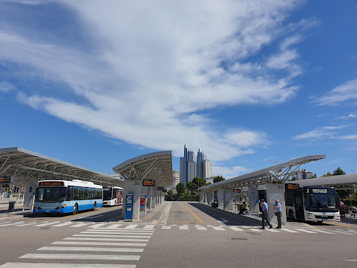 ATVO Bus Station Jesolo