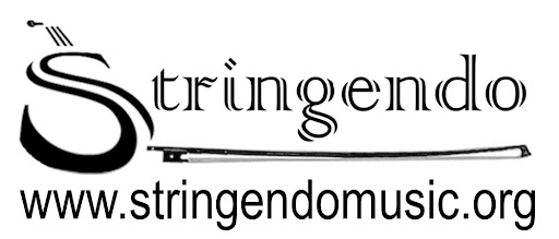 Stringendo Inc - Visual