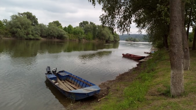 Riblji restoran Dautović, Author: Markone PEGAZ