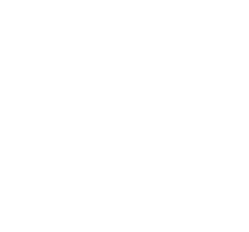 REMI BROQUET