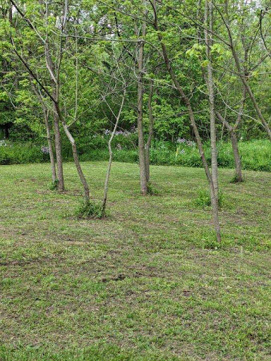 2 Bees Campground - Visual