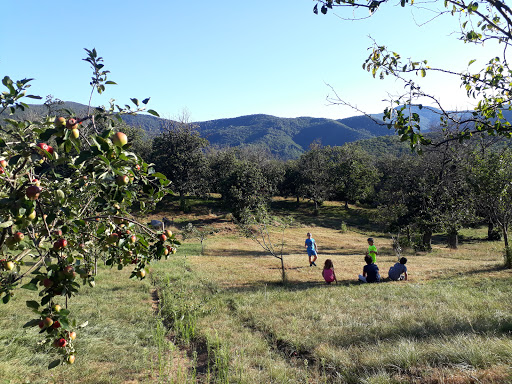 Azienda agrituristica cascina imboscata - Thumbnail