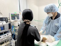 水前寺公園ペットクリニック